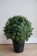 Kunstplant Buxus UV buiten diameter 30cm Easyplants, Nieuw, Ophalen, Buiten