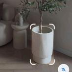 Dione bloempot kwantum gezocht, Ophalen of Verzenden, Halfschaduw, Minder dan 100 cm