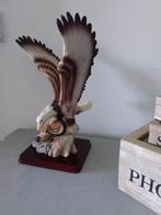 Roofvogel, Ophalen, Zo goed als nieuw, Vogel, Overige typen