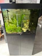 Juwel Rio 200 Led, Dieren en Toebehoren, Vissen | Aquaria en Toebehoren, Ophalen, Gebruikt, Leeg aquarium