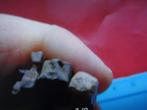 5stuks losse 18eeuwse Druk Letters, Antiek en Kunst, Antiek | Gereedschap en Instrumenten, Verzenden