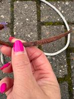 parelli string 6 ft, Ophalen, Overige soorten