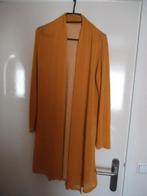 Geel Vestje Maat L, Kleding | Dames, Ophalen of Verzenden, Zo goed als nieuw, Maat 38/40 (M), Geel