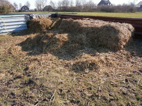 GRATIS ophalen paardenmest, Tuin en Terras, Aarde en Mest, Mest, Ophalen
