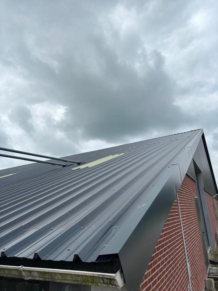 Joris ide dakpanelen [743], Dieren en Toebehoren, Stalling en Weidegang