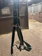 Groen glitter halster, Ophalen of Verzenden, Zo goed als nieuw, Overige soorten