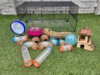 Hamsterkooi met attributen, Dieren en Toebehoren, Kooi, Minder dan 75 cm, Zo goed als nieuw, Hamster