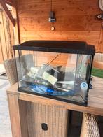 2 Aquariums te koop – compleet met accessoires, Dieren en Toebehoren, Vissen | Aquaria en Toebehoren, Ophalen, Zo goed als nieuw