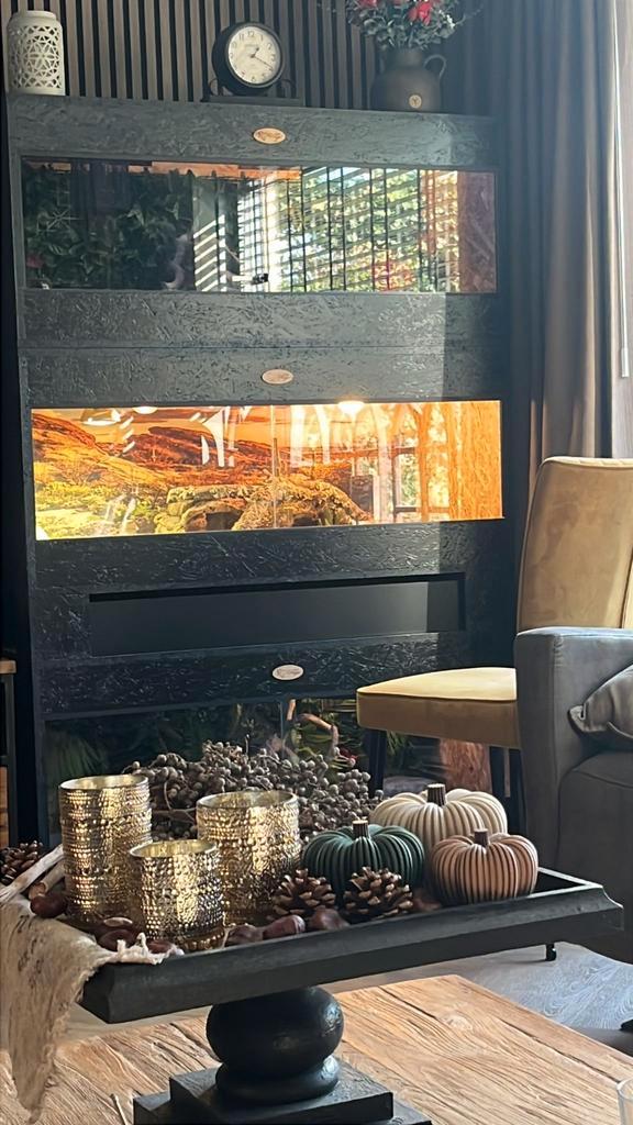 Osb3 terrarium RepHouSZ. Ook maatwerk, Dieren en Toebehoren, Reptielen en Amfibieën | Toebehoren, Nieuw, Terrarium of Paludarium