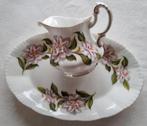 Paragon England Lady Vansittart schaaltje camelia bloemen, Ophalen of Verzenden