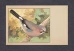 Vogelkaart Vlaamse Gaai Reclame Sluis Weesp (113)., Ophalen of Verzenden, 1960 tot 1980, Ongelopen, Vogel