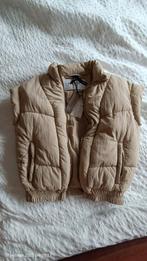 Parajumpers bodywarmer van 165€ nu 80€ nieuw!, Beige, 10days, Nieuw, Ophalen of Verzenden