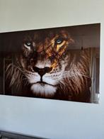 Glasschilderij leeuw 120 x 80 cm, Antiek en Kunst, Ophalen