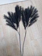 Zwarte pluimen (exclusief vaas), Huis en Inrichting, Ophalen of Verzenden, Zo goed als nieuw