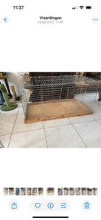 Kitten/ Poes  kennel, Dieren en Toebehoren, Katten en Kittens | Overige Katten