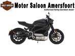 Harley-Davidson ELW LIVEWIRE / LIVE WIRE BTW-MOTOR!, Bedrijf, Overig, 1 cilinder
