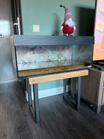 Sera Aquarium 96 liter, Dieren en Toebehoren, Ophalen of Verzenden, Leeg aquarium