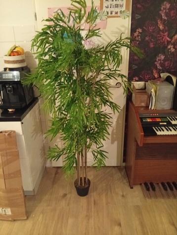 Kunstboom Bamboe - Nieuw in Doos! 185cm hoog 80 cm breed beschikbaar voor biedingen
