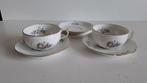 Rosenthal Sanssouci kopjes en schotels, Ophalen of Verzenden
