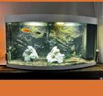 Aquarium jewel vision 260, Dieren en Toebehoren, Vis