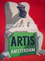 Amsterdam zoo Artis Dierentuin Netherlands print advertise, Verzenden, Nieuw, Overige typen