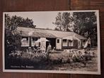 Fotokaart Westlaren - Pav. Boszicht, Ophalen of Verzenden, 1940 tot 1960, Gelopen, Drenthe