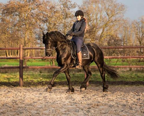 Beleren, Diensten en Vakmensen, Dieren | Paarden | Verzorging, Oppas en Les, Ruiter of Bijrijder