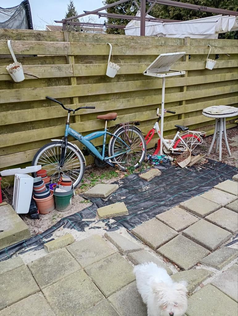 Fiets 24inch, Ophalen, Gebruikt