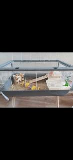 Te koop hamsterkooi met toebehoren, Dieren en Toebehoren, Minder dan 60 cm, Kooi, Minder dan 75 cm, Ophalen of Verzenden