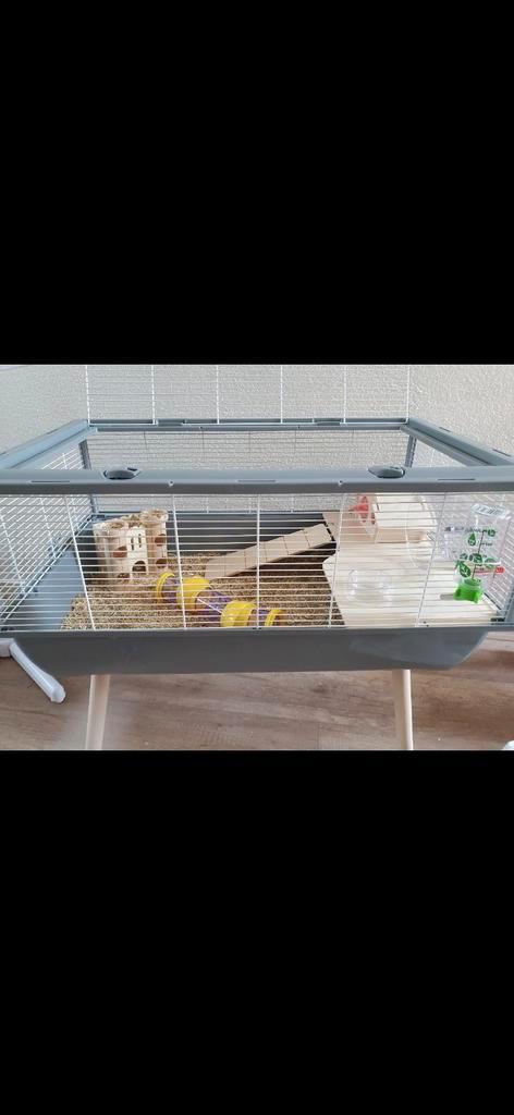 Te koop hamsterkooi met toebehoren, Dieren en Toebehoren, Knaagdieren en Konijnen | Hokken en Kooien, Kooi, Minder dan 60 cm, Minder dan 75 cm