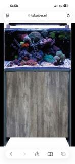 Blue Marine Reef 160, Dieren en Toebehoren, Ophalen, Zo goed als nieuw, Leeg aquarium
