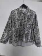 Mooie blouse maat XS Zara, Zara, Maat 34 (XS) of kleiner, Ophalen of Verzenden, Zo goed als nieuw