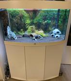 Complete Juwel vision 180 aquarium, Dieren en Toebehoren, Ophalen, Gebruikt, Gevuld zoetwateraquarium