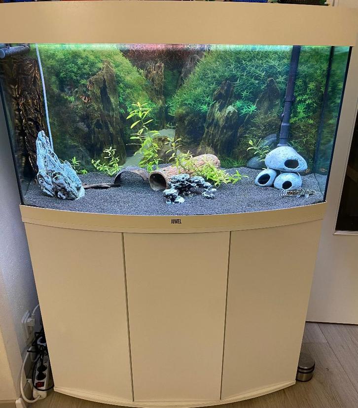 Complete Juwel vision 180 aquarium, Dieren en Toebehoren, Vissen | Aquaria en Toebehoren, Gebruikt, Gevuld zoetwateraquarium, Ophalen