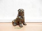 062* Bronzen hond bulldog (Boven €75 geen verzendkosten), Ophalen of Verzenden, Nieuw, Overige materialen, Dierenbeeld