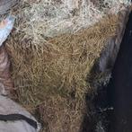 Midibalen, Dieren en Toebehoren, Ophalen of Verzenden