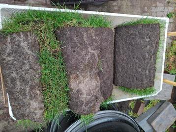 Gras rollen, gratis af te halen beschikbaar voor biedingen
