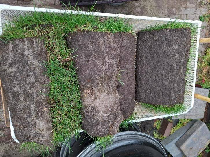 Gras rollen, gratis af te halen, Tuin en Terras, Gras en Kunstgras, Nieuw, Gras, Minder dan 10 m², Ophalen