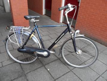 GAZELLE    DAVOS   EXILENT       57  CM. beschikbaar voor biedingen