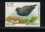 V453 Belgie 3261 postfris Vogels, Postzegels en Munten, Postzegels | Europa | België, Verzenden, Postfris