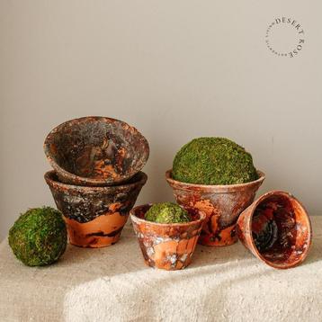 Mosballen, Mos bal 8cm en 15cm beschikbaar voor biedingen