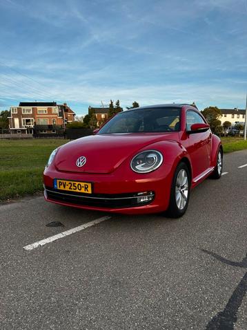 Volkswagen Beetle (Kever) 1.2 TSI 77KW design 2015 Rood beschikbaar voor biedingen