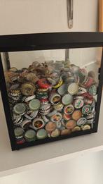 Veel bierdopjes, Ophalen, Gebruikt, Flesje(s), Overige merken