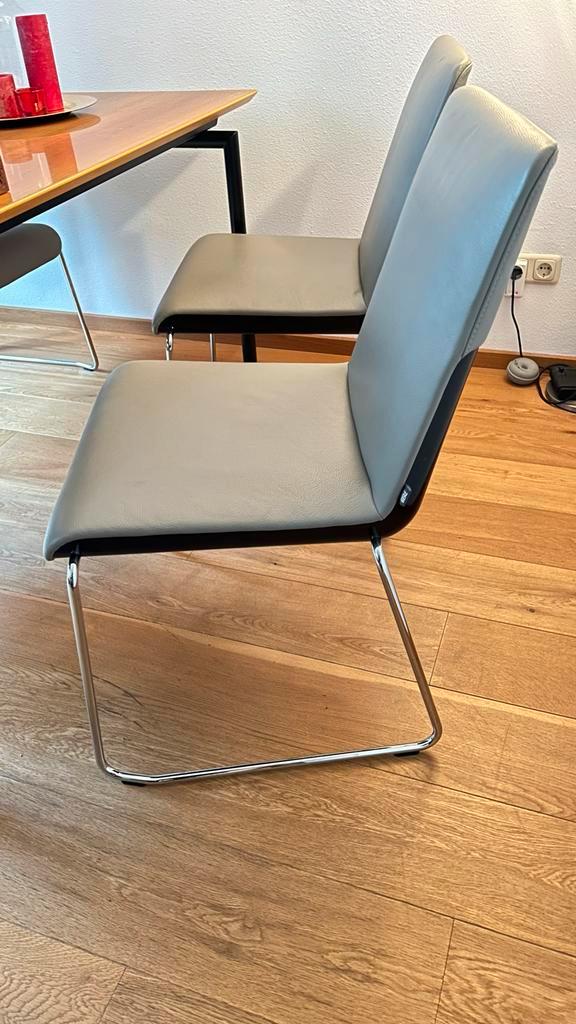 4x Rolf Benz Eetkamerset - Stijlvol en Comfortabel, Huis en Inrichting, Stoelen, Zo goed als nieuw, Twee, Leer, Grijs, Ophalen of Verzenden