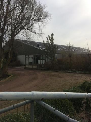 Pensionstal Balanza . beschikbaar voor biedingen