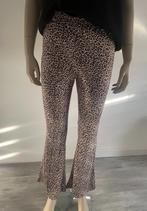 Shein print flair broek maat Xs, Kleding | Dames, Bruin, Ophalen of Verzenden, Zo goed als nieuw, Maat 34 (XS) of kleiner