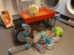 Hamsterkooi met heel veel buizen, Dieren en Toebehoren, Ophalen of Verzenden, Minder dan 75 cm, Kooi, Minder dan 60 cm