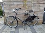 gazelle primeur special H61 cm 8 versnellingen!, Ophalen, Gebruikt, Gazelle, Versnellingen