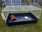 Cavia Hamster of Konijnen kooi., Minder dan 60 cm, Kooi, Gebruikt, Ophalen of Verzenden