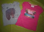 2 T-Shirts Roze en Grijs van H&M (86), Kinderen en Baby's, Babykleding | Maat 86, Meisje, Shirtje of Longsleeve, Gebruikt, Ophalen of Verzenden